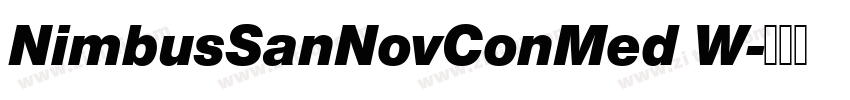 NimbusSanNovConMed W字体转换
